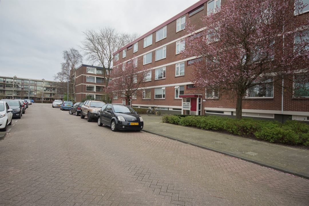 Ruigoord, Rotterdam